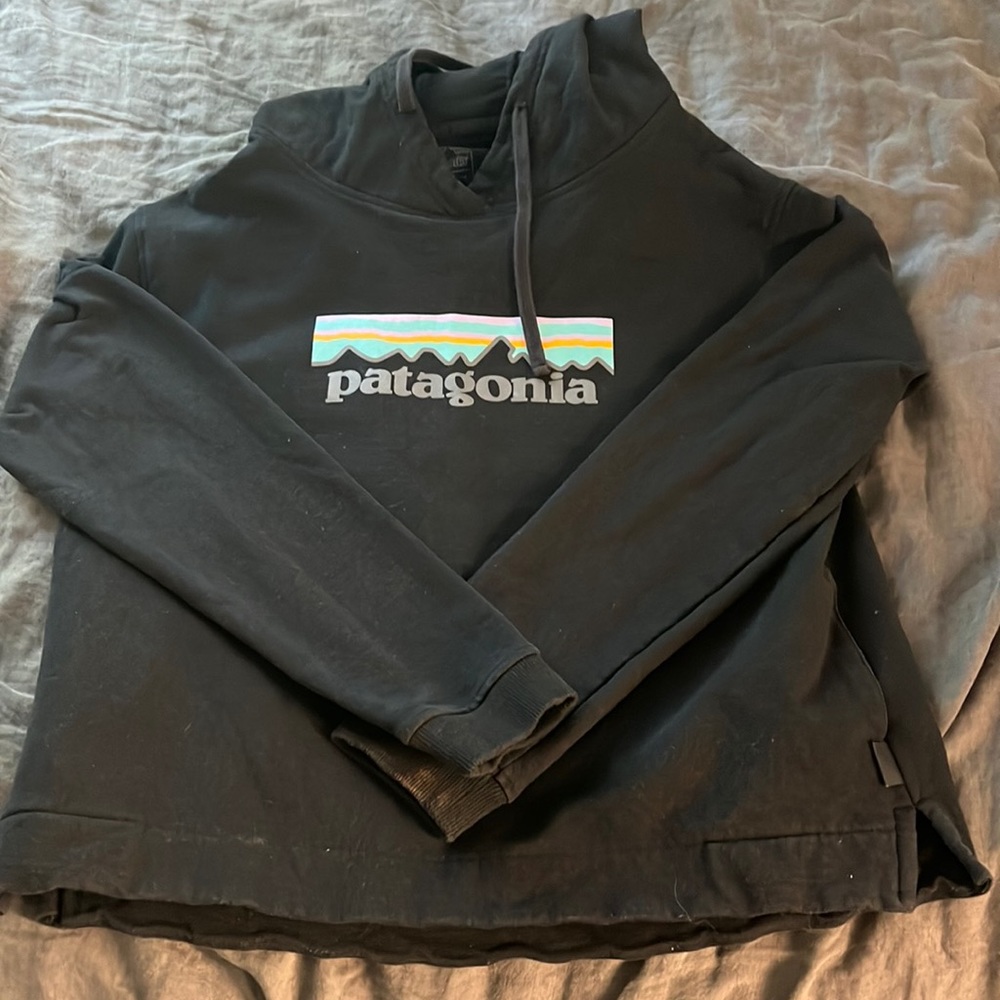 EUC Patagonia cropped hoodie
